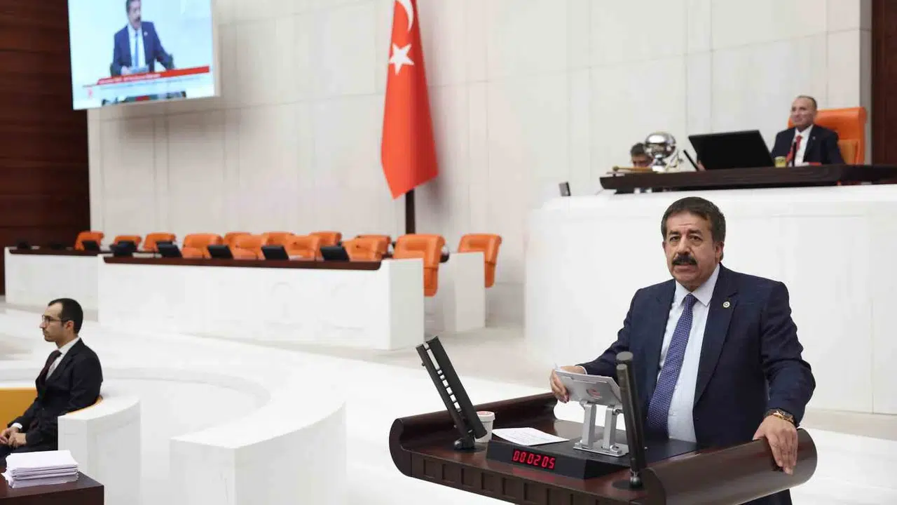 Sokak hayvanları sorununda yeni rota: Erzurum modeli tüm Türkiye’ye mi yayılıyor?