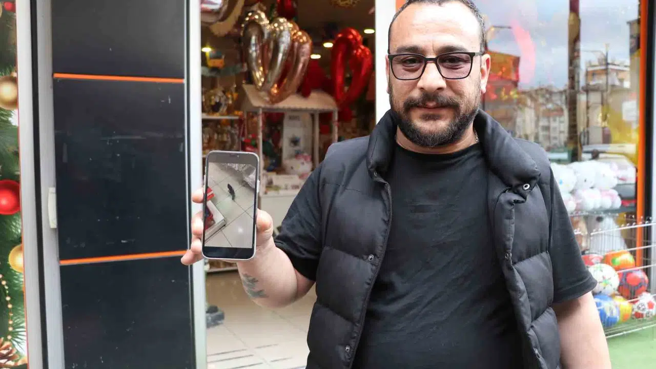 Sivas’ta beklenmedik misafir: Reyonlar arasında gezinen yaralı kargaya esnaf sahip çıktı