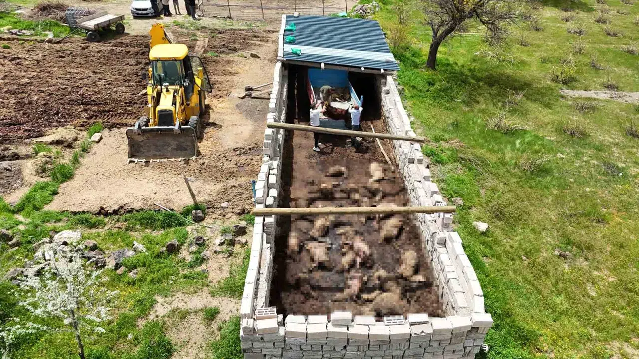 Kurban Bayramı öncesi büyük şok: Emekleri bir gecede yok oldu