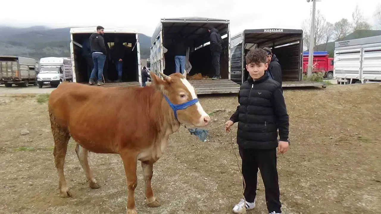 Pazarın en küçük celepçisi: Mühendislik hayaliyle kurbanlık satıyor