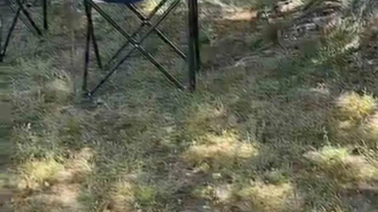 İznik’te korkutan misafir: Apartman bahçesinde ortaya çıktı