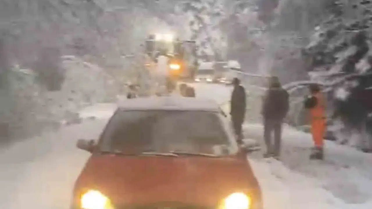 Mayıs ayında kış manzarası: Bolu'da ağaçlar devrildi, yollar kapandı