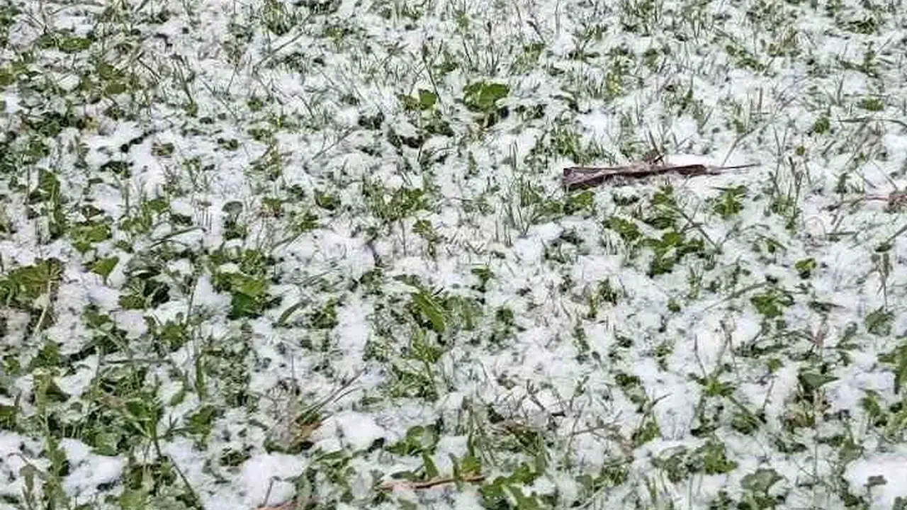 Baharın müjdecisi mayısta kış sürprizi: Yaylalar bir anda beyaza büründü