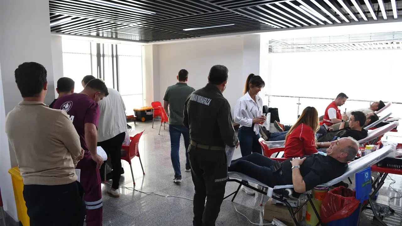 Yeşil Vatanın kahramanları bu kez şifa dağıtmak için kolları sıvadı: Ormancılardan anlamlı seferberlik