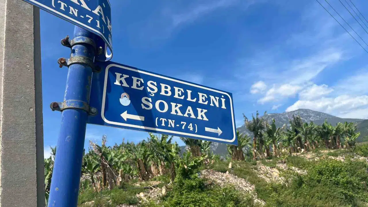 Çöp konteynerinde vicdan sızlatan manzara: Temizlik işçileri minik dostlarını ölümden döndürdü