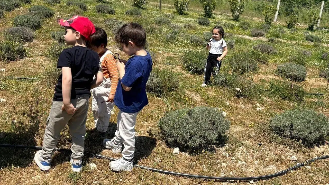 Sınıfın dışına taşan eğitim: Minikler Ortaköy’ün yeşilinde buluştu