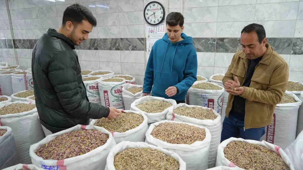 Savaşın gölgesi Antep fıstığına düştü: Depolar doldu, ihracat durma noktasına geldi