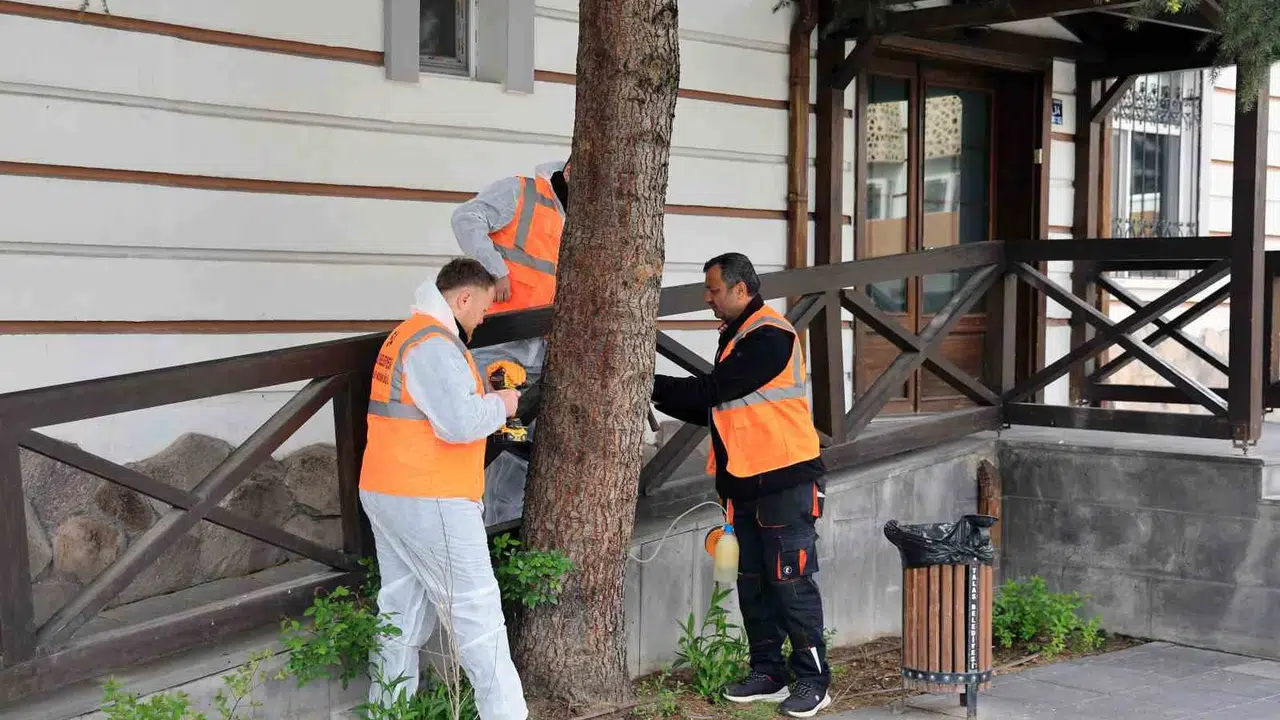 Talas’ta ağaçlar artık iğneyle korunuyor: Zararlılarla mücadelede yeni dönem