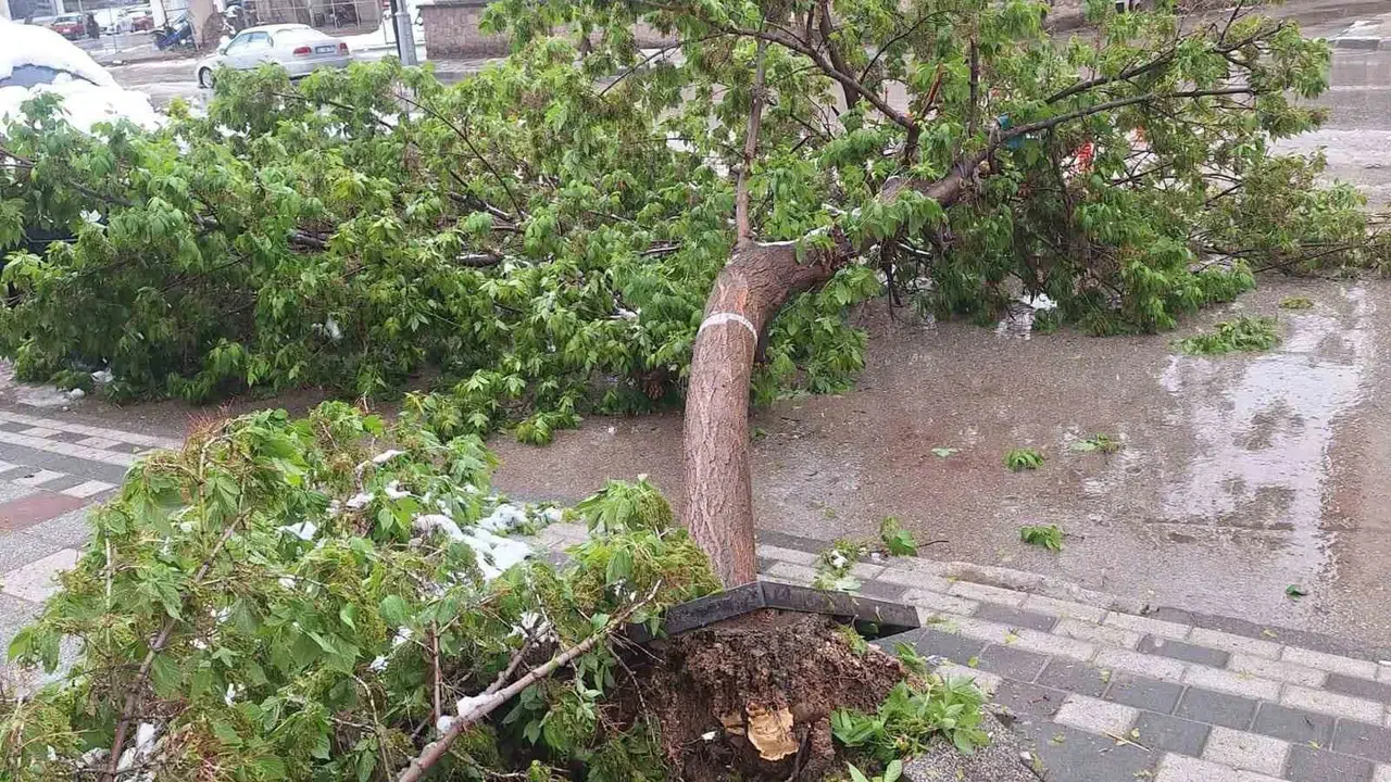 Baharın müjdecisi ağaçlar beyaza büründü: Sandıklı’da kar mesaisi