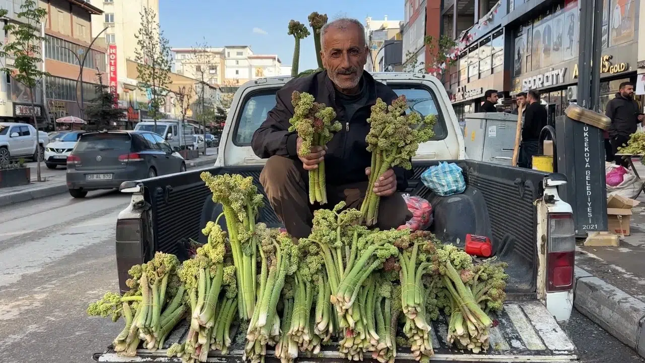 Dağların şifası sınır kapısından tezgahlara indi: Yayla muzu kapış kapış gidiyor