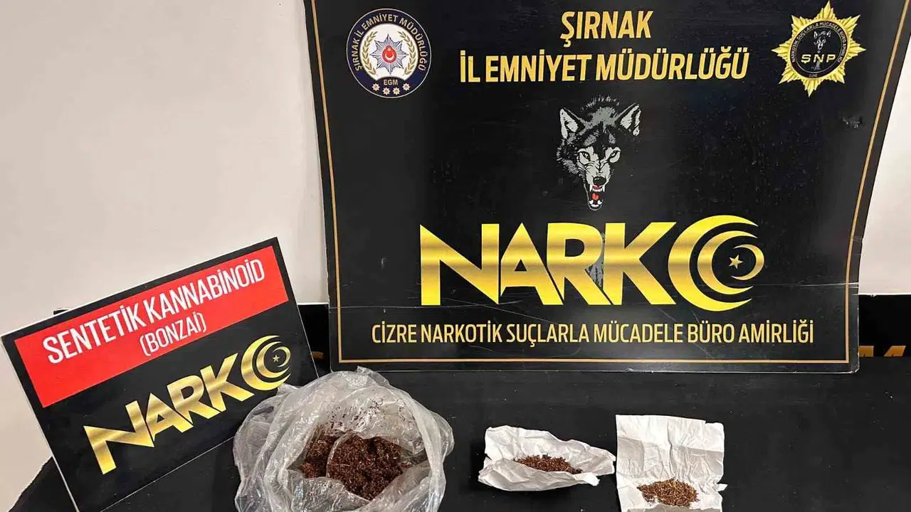 Şırnak’ta zehir tacirlerine ve kaçakçılara ağır darbe: 5 kişi cezaevine gönderildi