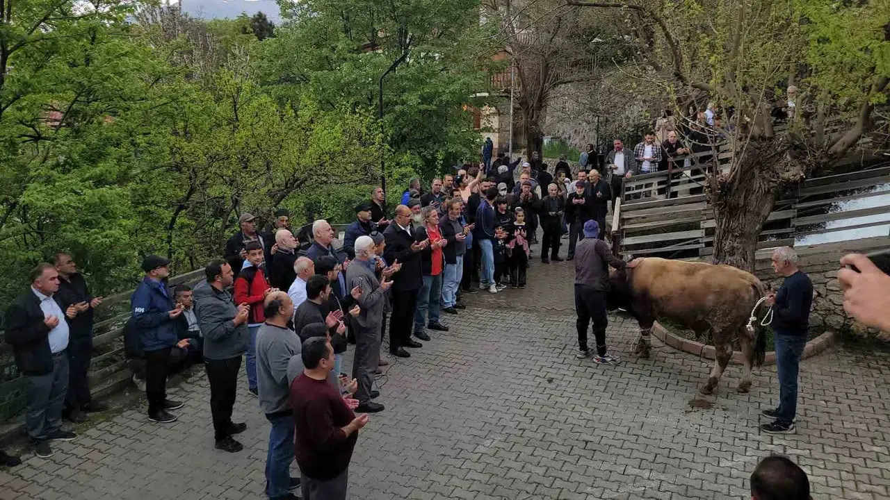 Kadıgölü'nde asırlık gelenek: Kemaliye'de şükür sofrası kuruldu