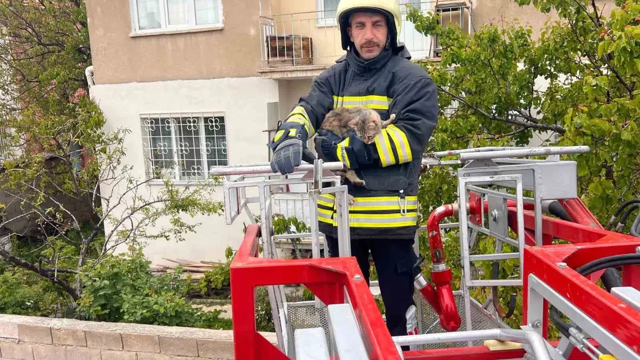 Erzincan’da yürekleri ağza getiren kurtarma operasyonu: Çatıda mahsur kalan minik dostumuz sağlığına kavuştu