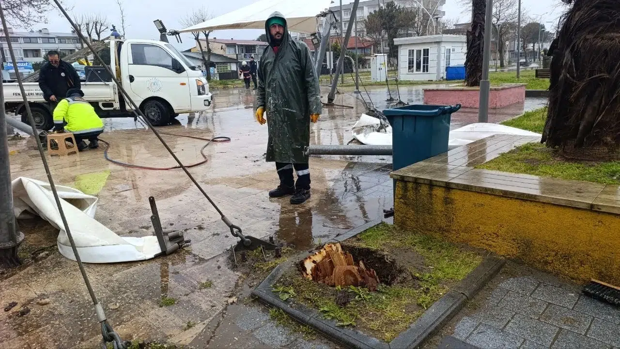 Sakarya'da fırtına dehşeti: Dev ağaç dükkanların üzerine böyle yıkıldı