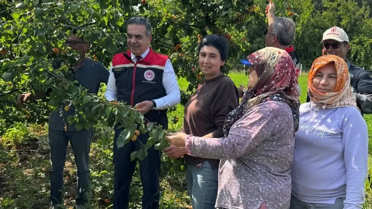 Aydın’da İspanyol bereketi: 2,5 dönümlük bahçeden tonlarca ürün fışkırdı