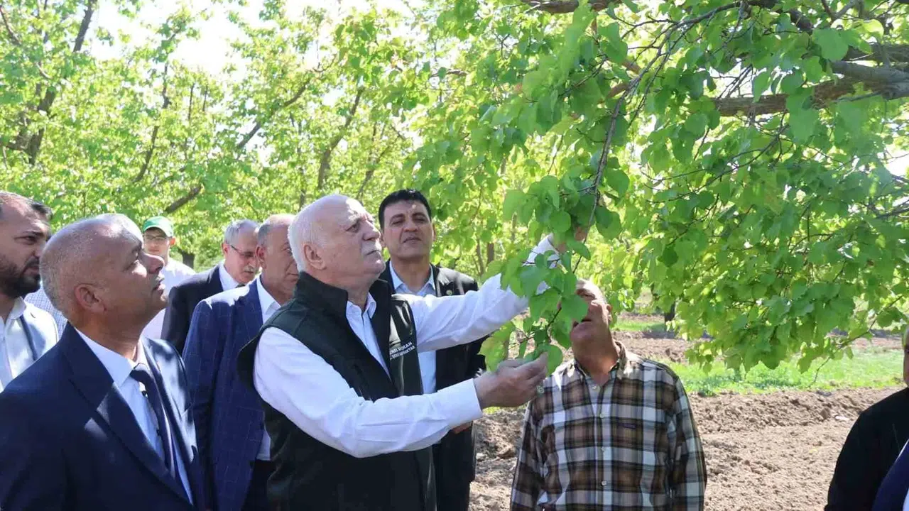 Iğdır’da tarımın kalbine darbe: Don ve dolu üreticiyi vurdu, gözler Ankara’ya çevrildi