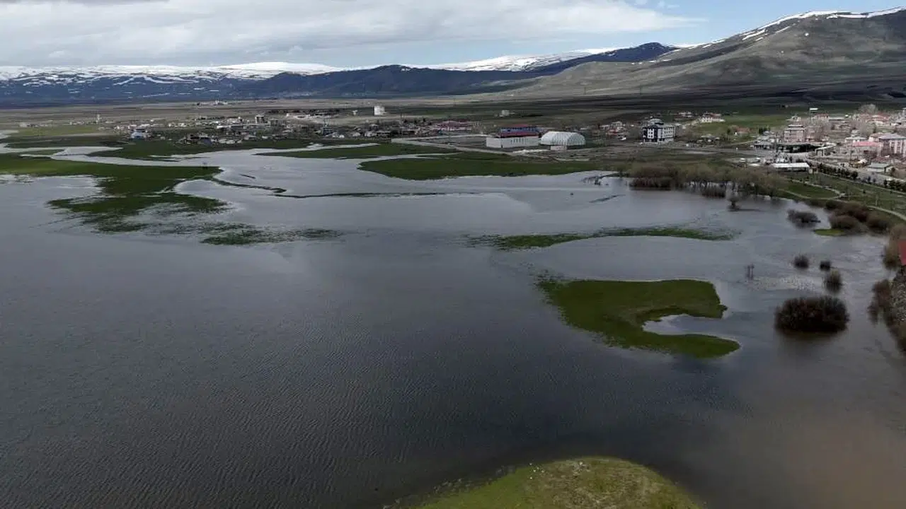 Ardahan’da bahar kabusu: Kura Nehri taştı, ovalar göle döndü