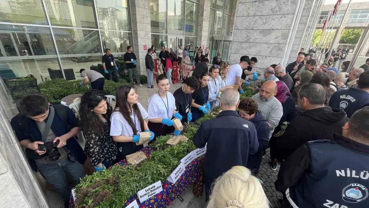 Balkonlar bahçeye dönüşüyor: Nilüfer'de 120 bin fide kapış kapış gitti