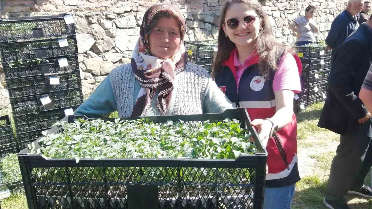 Toprak bereketi Hanönü’nde buluştu: 160 üreticiye dev fide desteği