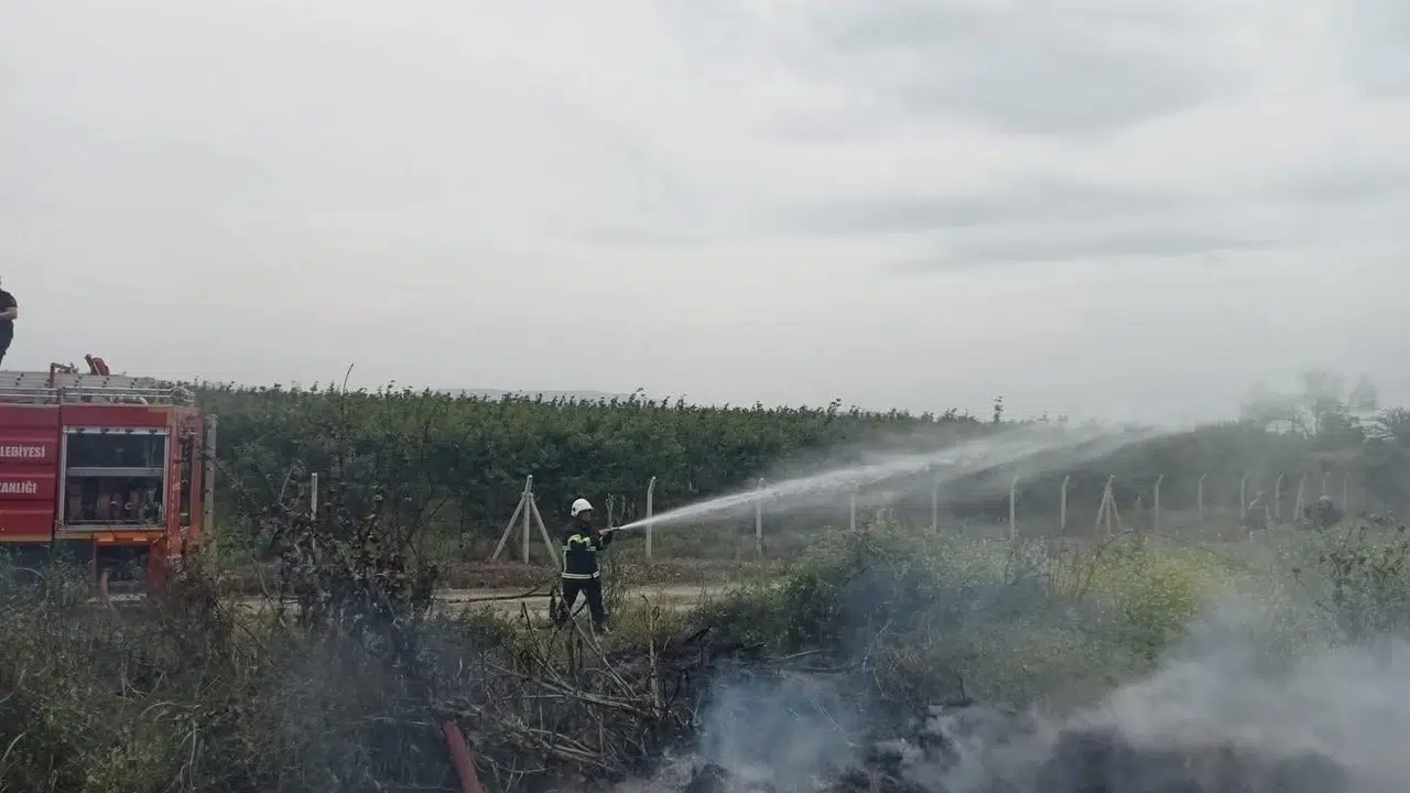 Hassa'da korkutan alevler: Zeytinlikler küle dönmekten son anda kurtuldu