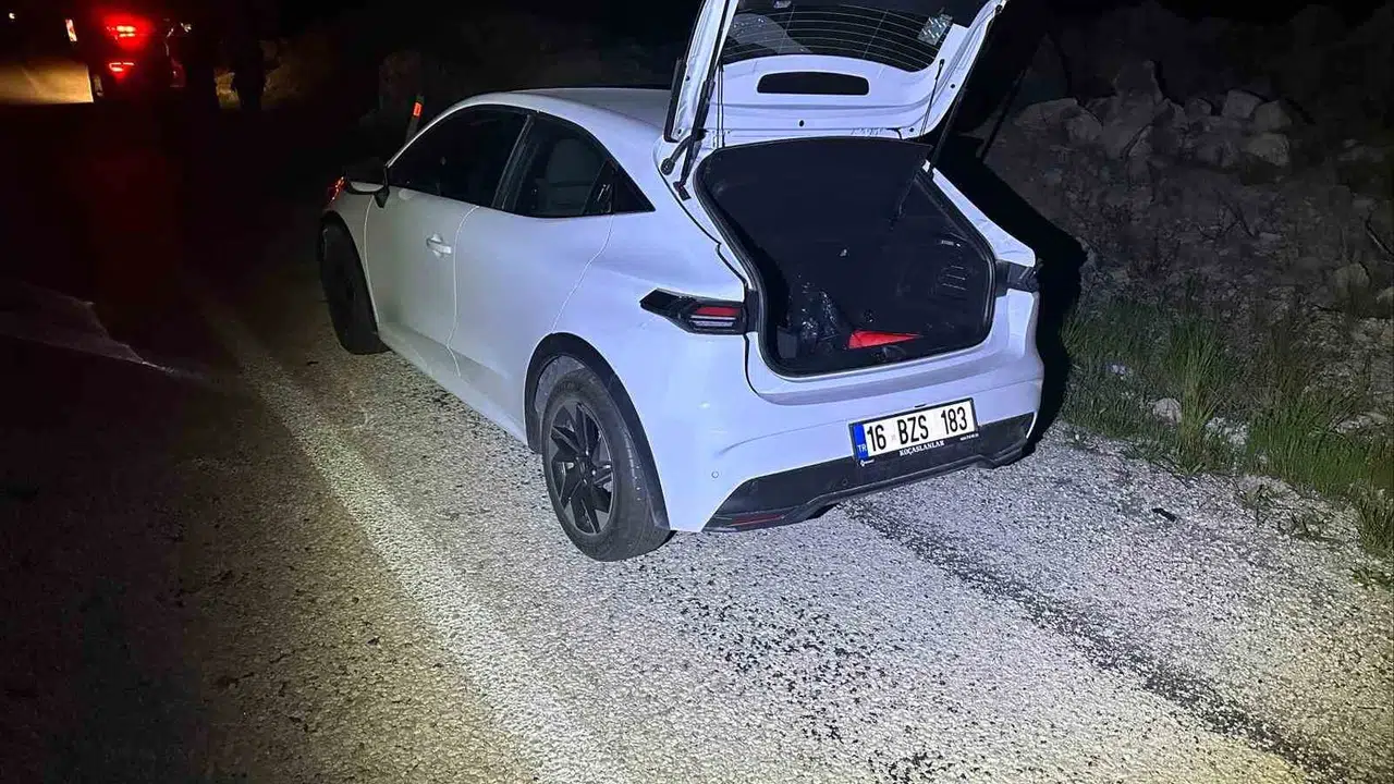 Bilecik yolunda gece yarısı acı kaza: Köpeğe çarpan otomobil hurdaya döndü