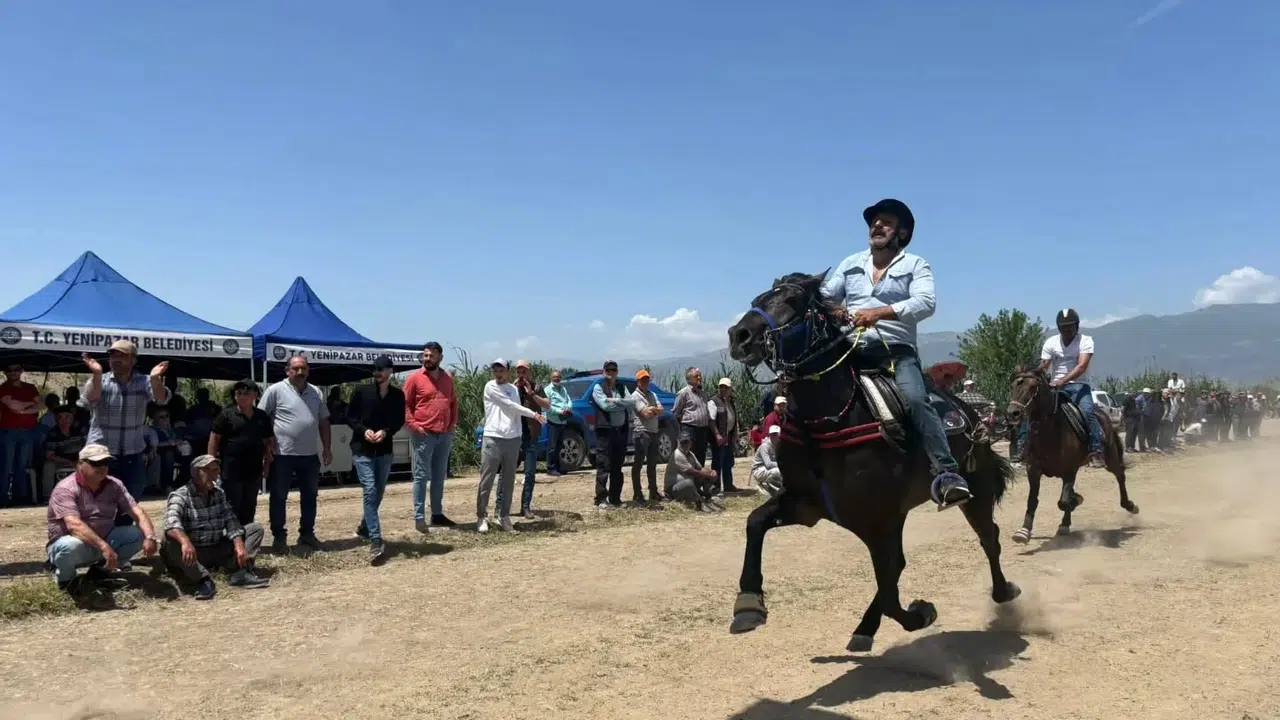 Toz duman birbirine karıştı: Yenipazar’da ata sporu rüzgarı esti