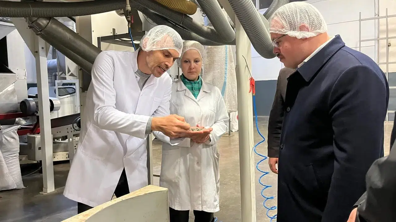 Kaynaşlı’da gıda denetimi mesaisi: Tarladan sofraya güvenli üretim için sahaya indiler