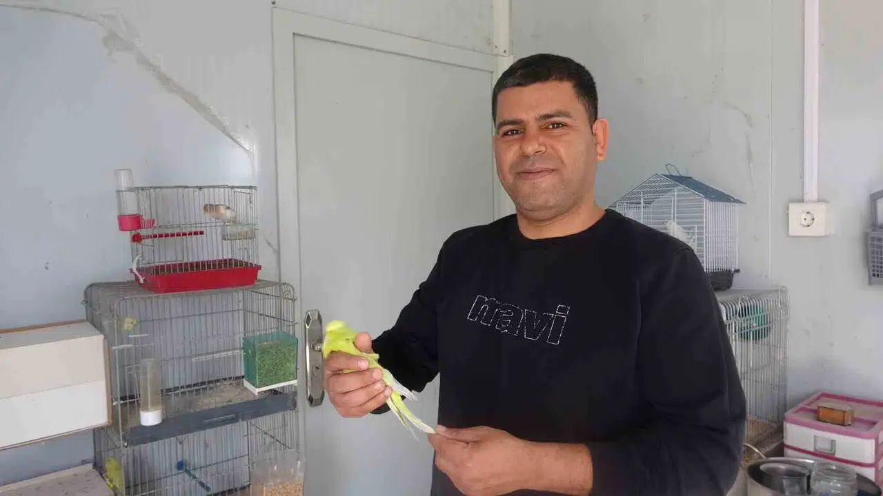 13 yaşında başlayan tutku: Hayatını kanatlı dostlarına adadı