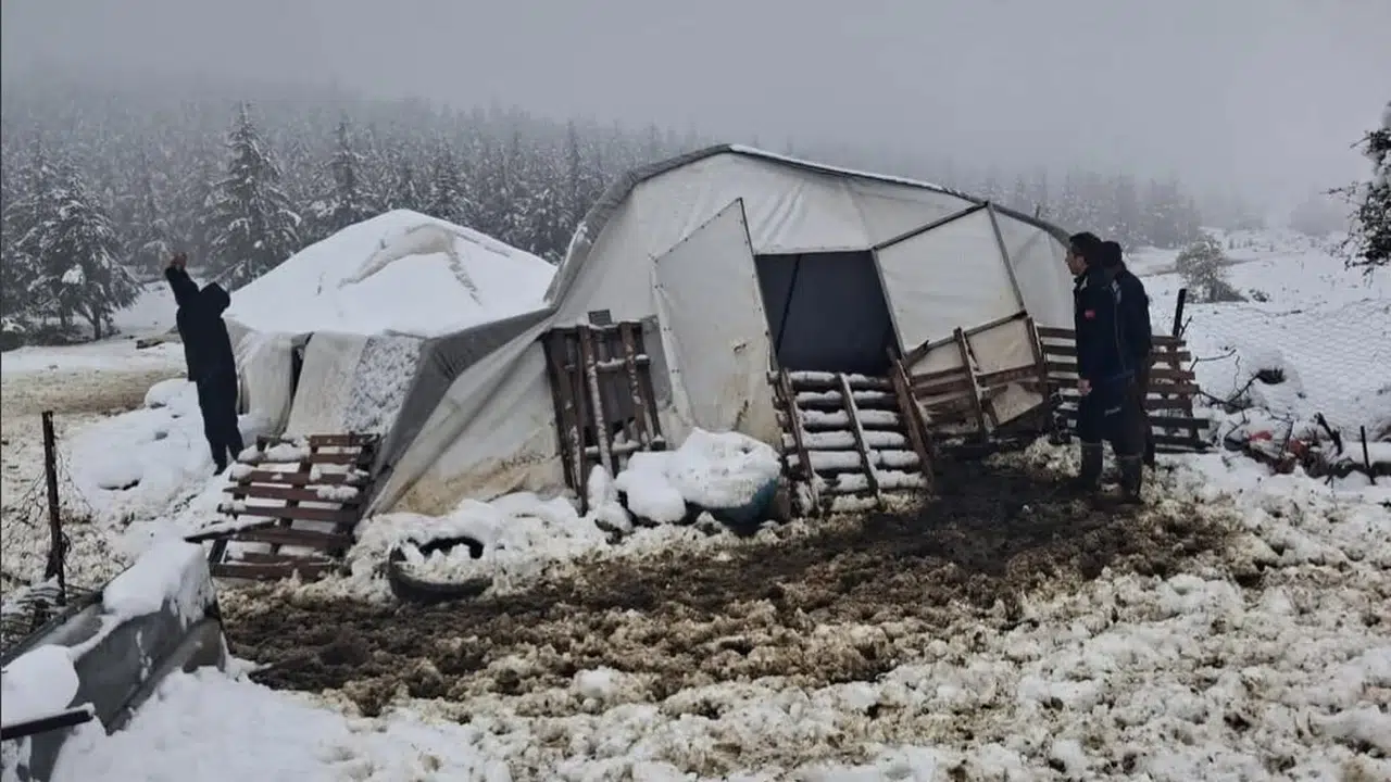 Tavas'ta kar kabusu: Çöken çadırın altındaki 5 can için seferberlik