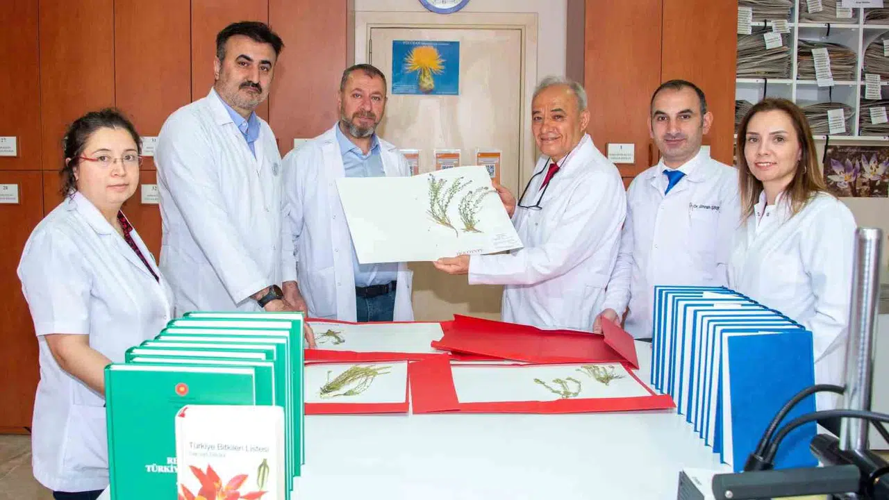 Torosların gizemli dünyasından bilim dünyasına büyük katkı: 4 yeni bitki türü keşfedildi