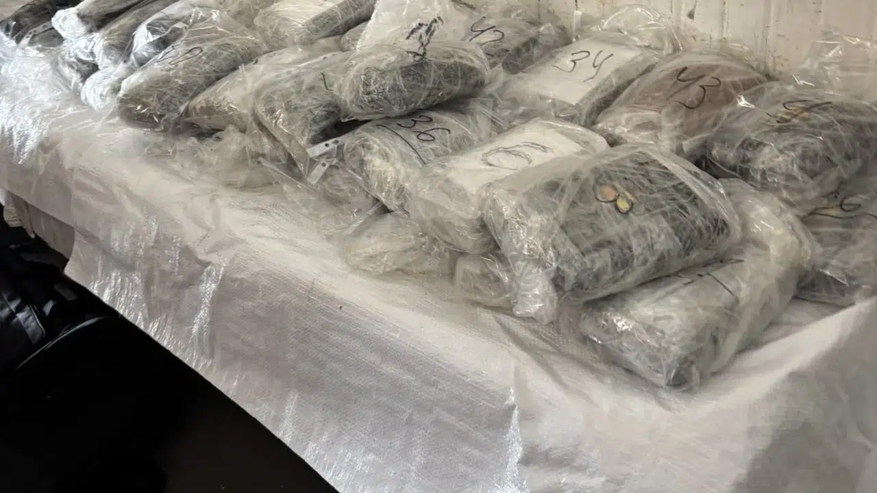 Kapıkule’nin hemen karşısında dev operasyon: Milyonluk zehir sevkiyatına geçit yok