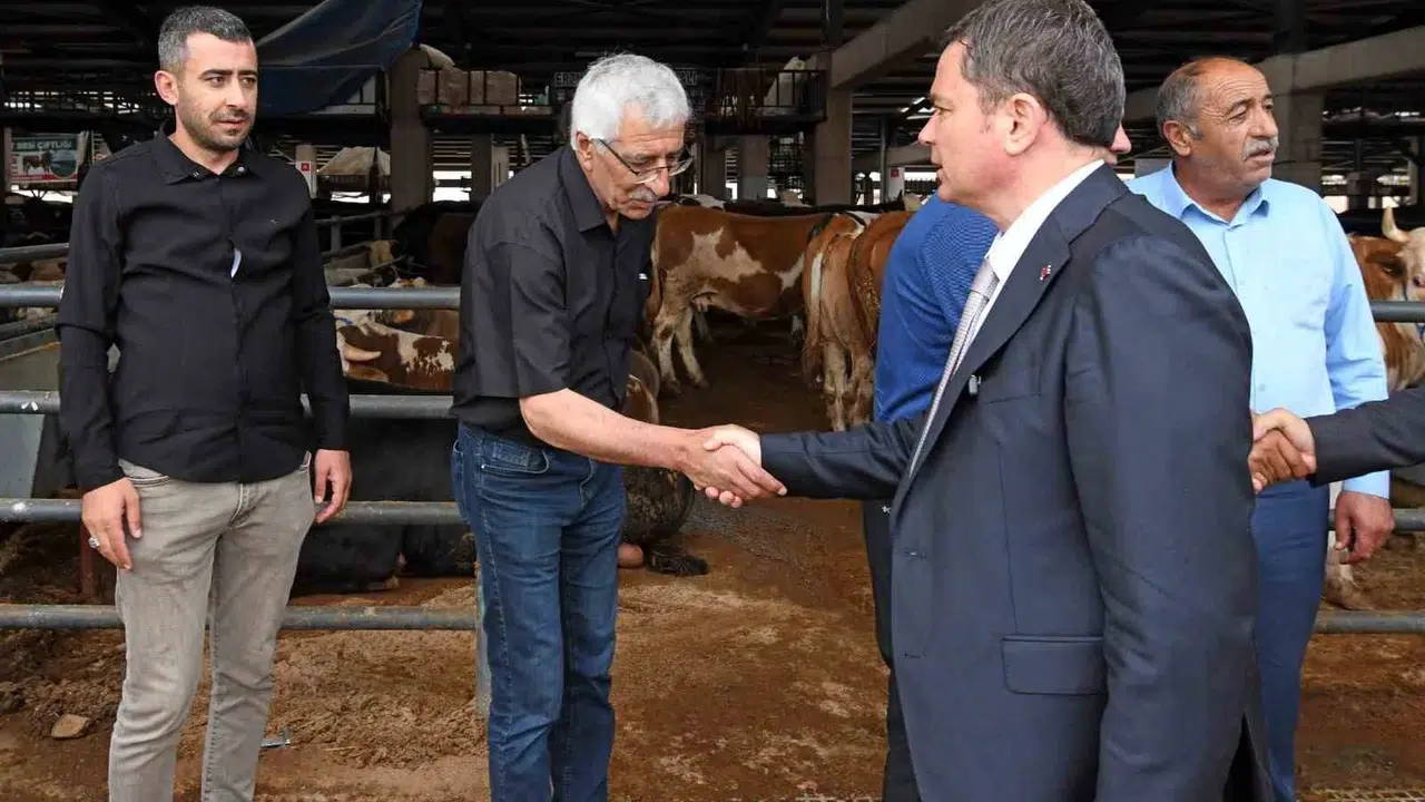 Osmangazi’de bayram mesaisi: Kurban pazarları tüm hazırlıklarıyla görücüye çıktı