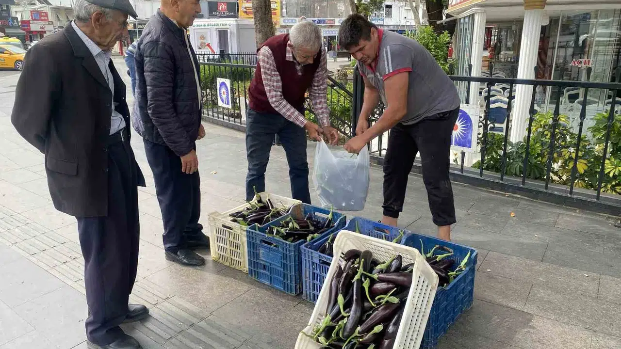 Maliyetler belini büktü, çareyi kapıları açmakta buldu: Tonlarca patlıcan sofralara ücretsiz ulaşıyor