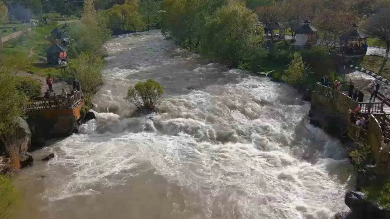 Uçan balıkların görsel şöleni bu yıl ertelendi: Binlerce kilometre öteden gelenler hüsran yaşadı