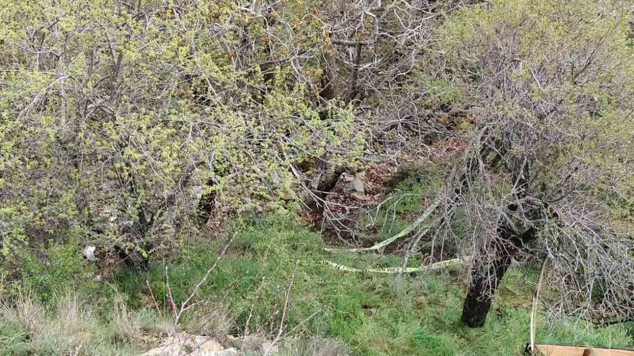 Isparta'da gece yarısı dehşeti: Kurtarmak isterken birlikte uçuruma sürüklendiler