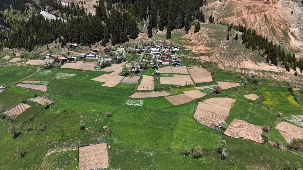 Bulutların üzerinde geleneksel yaşam: 1400 rakımda imece ruhuyla toprağı işliyorlar