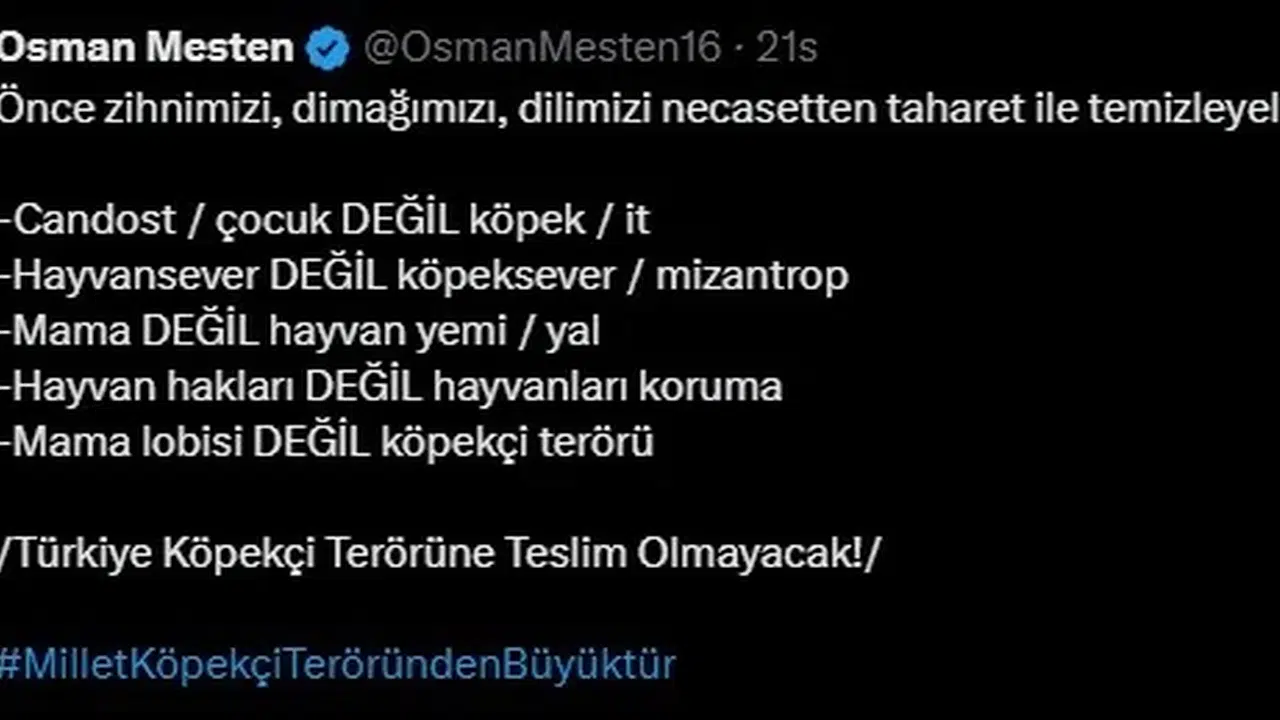 Milletvekili Mesten’in  köpekçi terörü  çıkışı: Hem tebrik yağdı hem ölüm tehdidi geldi