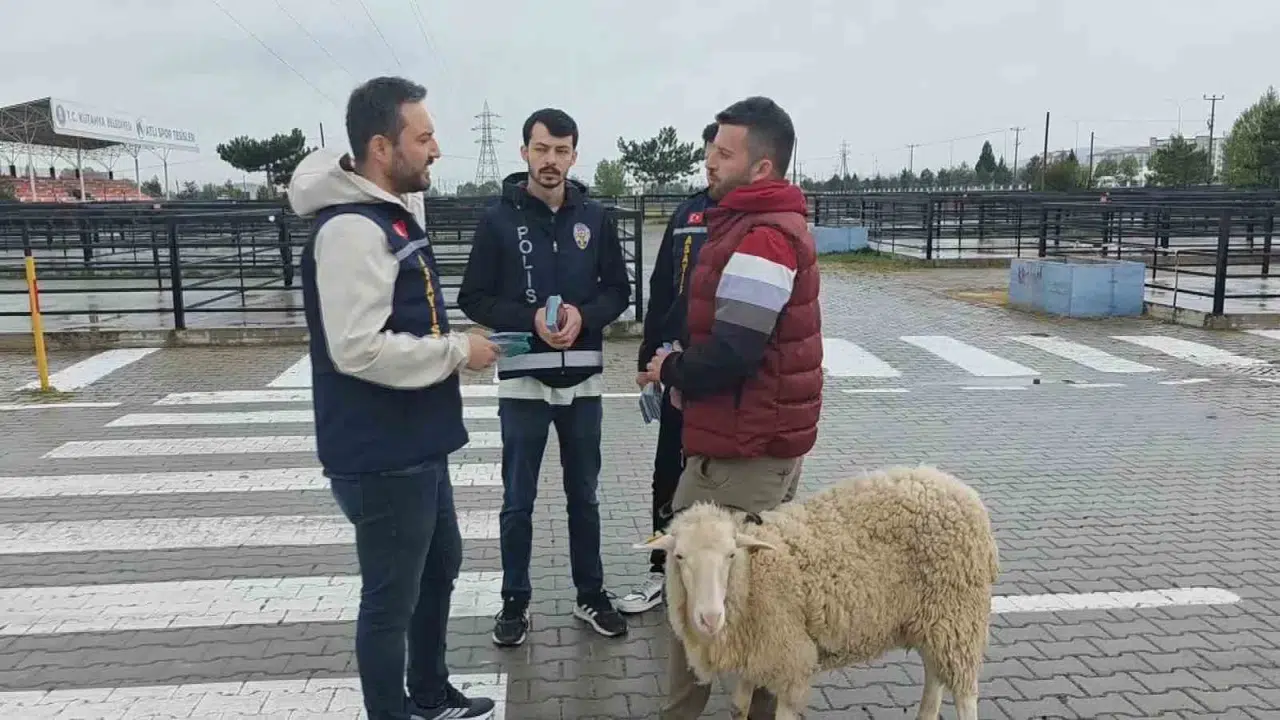 Kurban pazarında bayram mesaisi: Polis satıcıları tek tek uyardı