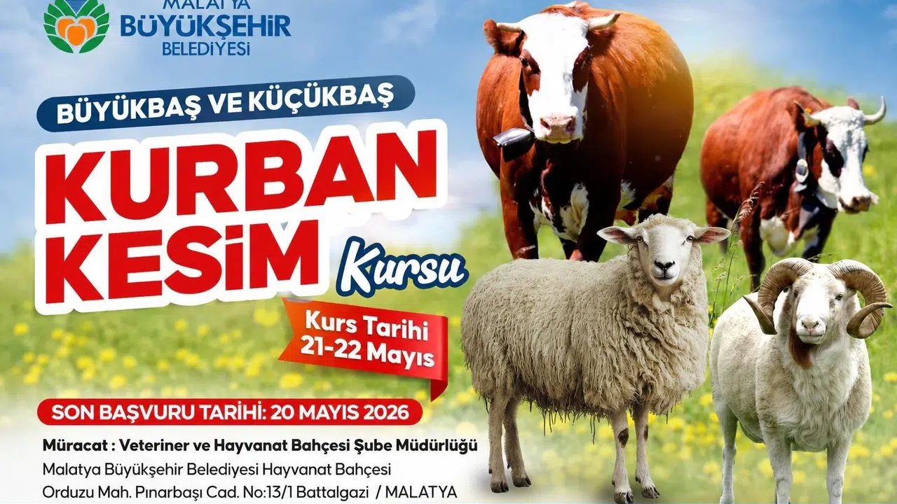 Kurban Bayramı'nda kazalara son: Malatya'da uzmanından kesim eğitimi