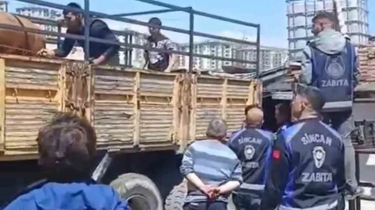 Sincan’da kaçak hayvancılığa geçit yok: Ruhsatsız ahırlar mühürlendi