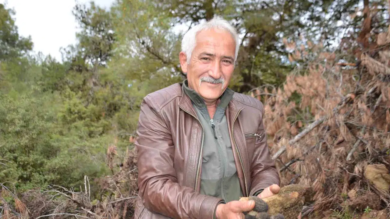 Küllerinden doğan servet: Yangın bölgesinde çıkan mantar köylünün yüzünü güldürdü