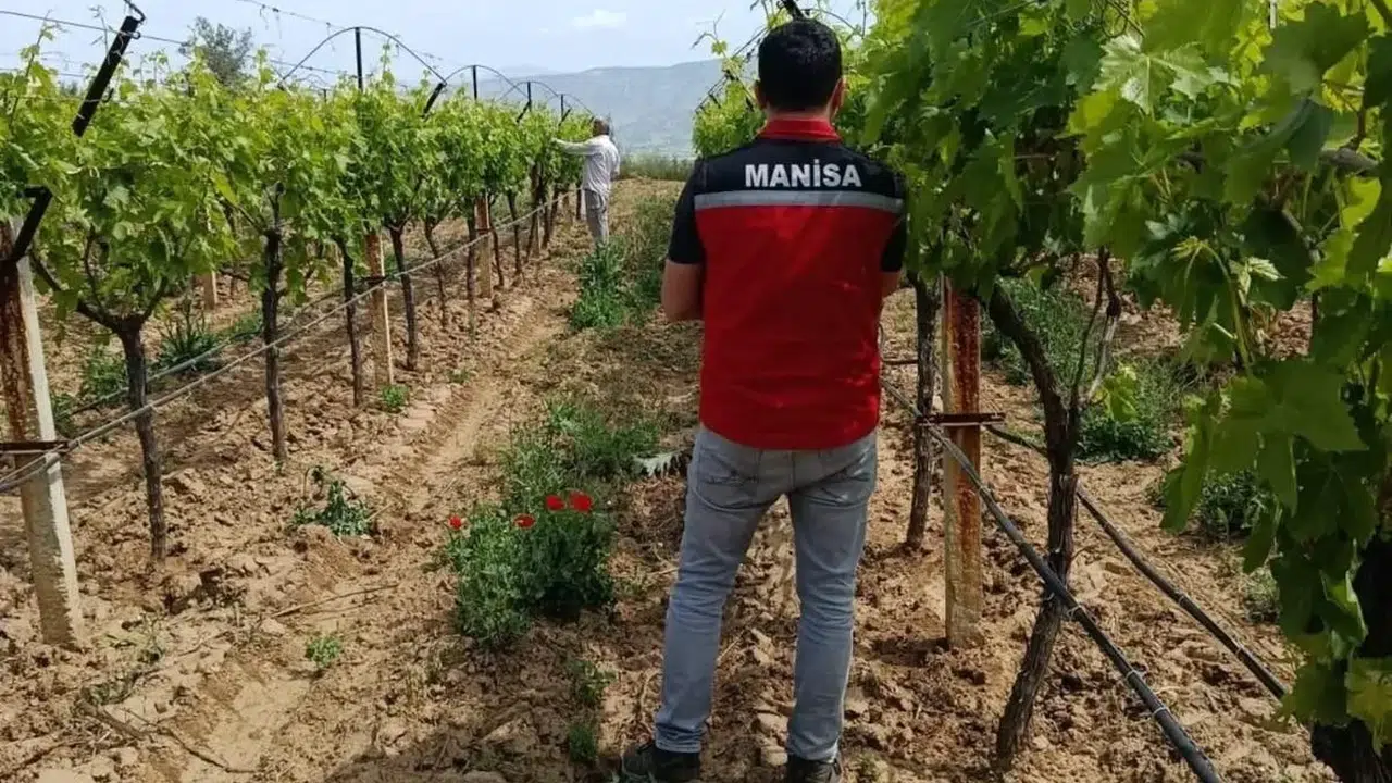 Sofralara gelen lezzet mercek altında: Sarıgöl’de denetim seferberliği
