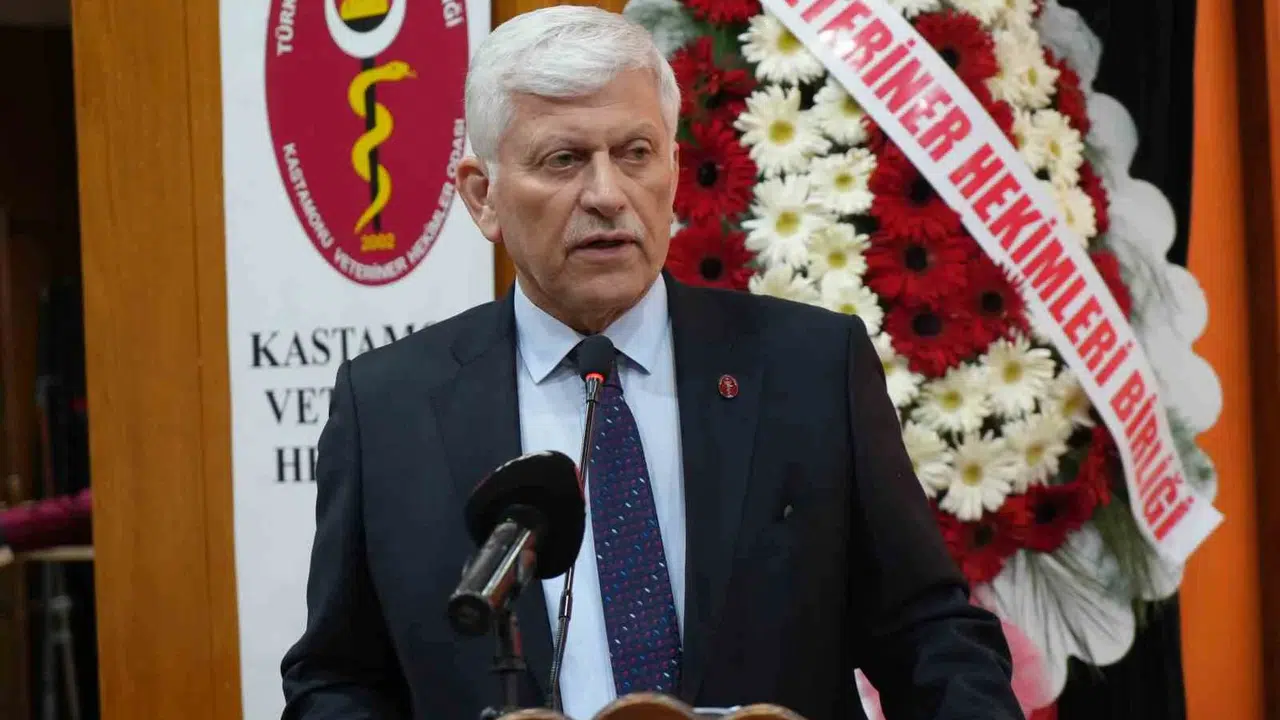 Veteriner hekimlerin sessiz çığlığı: Sağlık sınıfındaki haklarımızı istiyoruz