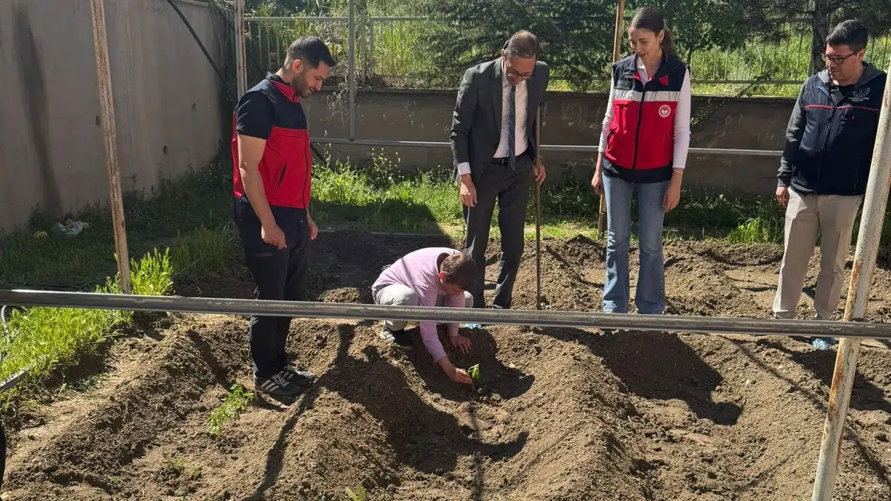 Geleceğin çiftçileri okul bahçesinde yetişiyor: Miniklerden doğaya yeşil imza