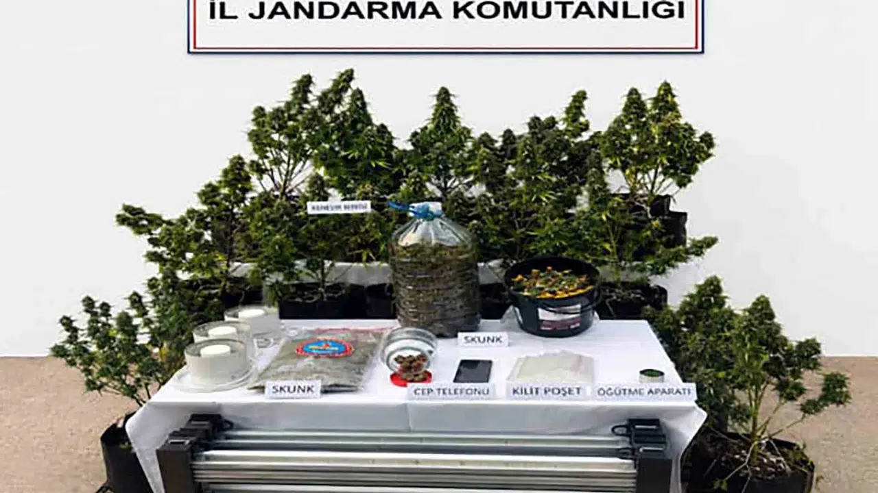 Muğla’da zehir tacirlerine ağır darbe: Bir haftalı…