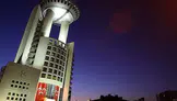 MHP’de 3 il Teşkilatı daha feshedildi! Atanan yeni isimler belli oldu