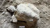 Bilecik'teki gizemli mağarada 14 bin yıllık kaplumbağa ritüeli gün yüzüne çıktı