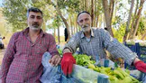 86 yaşındaki Ahmet Can hâlâ tarlada! Günde 6 ton biber üretiyor, kilosunu 30 liradan satıyor