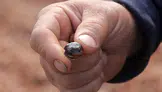 Karadeniz'de fındığa yağmur darbesi! Kurumayan ürünler çürümeye başladı