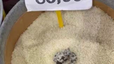 Mersin’de skandal görüntü: Pirinçten kedi dışkısı çıkan markete ceza
